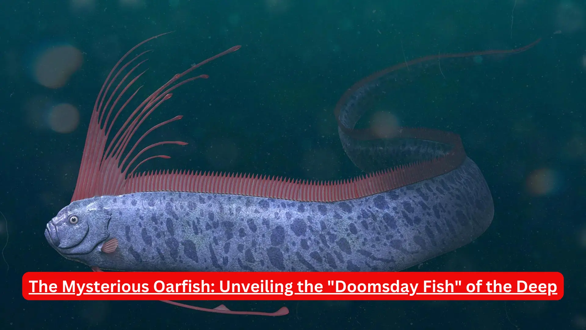 The Mysterious Oarfish: Unveiling the "Doomsday Fish" of the Deep